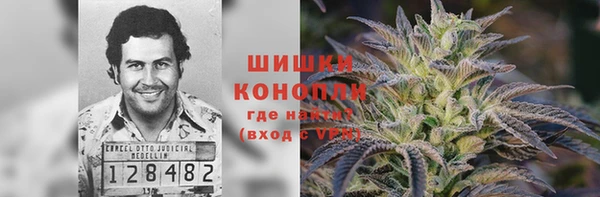 индика Аркадак