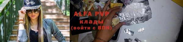 индика Аркадак