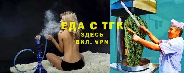индика Аркадак